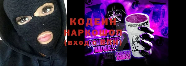 дурь Заводоуковск