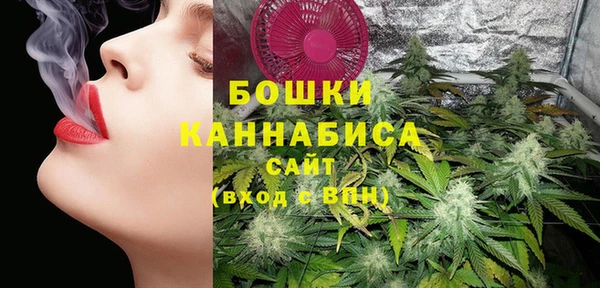 гидра Струнино