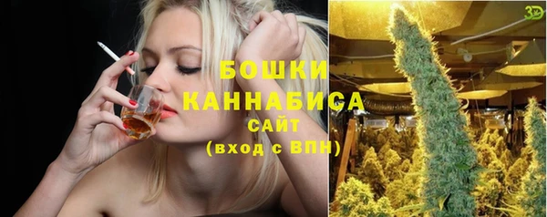 дурь Заводоуковск