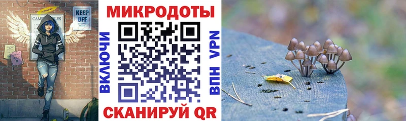 гидра ссылки  Салаир  Псилоцибиновые грибы MAGIC MUSHROOMS 