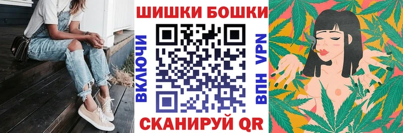 Канабис планчик  Салаир 